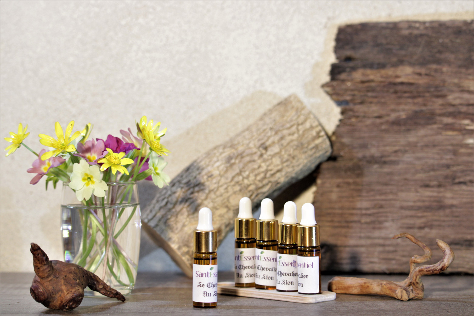 Synergie chevalier au lion 